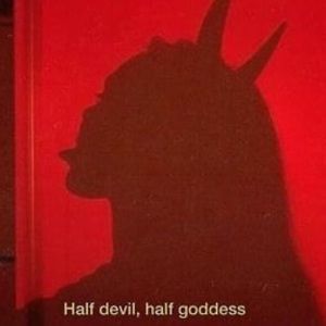 Meet your Posher, Thrifted